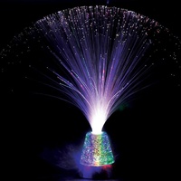 Optic Fibre Lamp Wheeler's Lamp 34cm