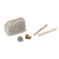 Fossil Dig Paleo Kit 2566