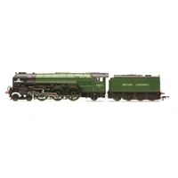 Hornby 1/76 OO Gauge RailRoad British Railways Tornado 60163