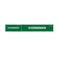Hornby OO Evergreen Container Pack 1 X 20' and 1 X 40' Containers - ERA 11