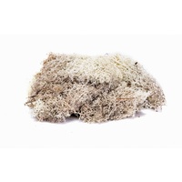 Hornby OO Lichen - Stone Grey