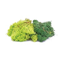 Hornby OO Lichen - Green Mix
