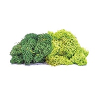 Hornby OO Lichen - Large Green Mix