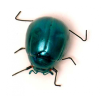 Magnetic Green Beetle IN001-18