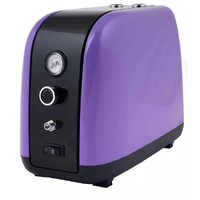 Airbrush Compressor Purple Case