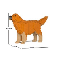Jekca Golden Retriever 02C-M01