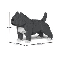 Jekca American Bully 01C-M03