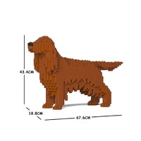 Jekca Irish Setter 01C