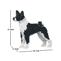 Jekca Basenji 01C-M02