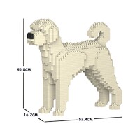 Jekca Labradoodle 01C-M01