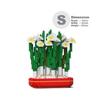 Jekca Paperwhites 02S