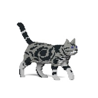 Jekca American Shorthair Cat 02S-M01