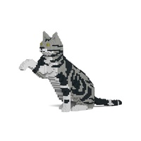 Jekca American Shorthair Cat 03S-M01