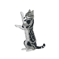 Jekca American Shorthair Cat 05S-M01