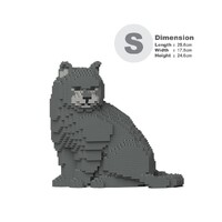 Jekca British Shorthair Cat 01S-M01