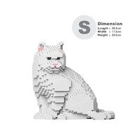 Jekca British Shorthair Cat 01S-M02