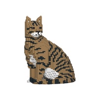 Jekca Cat 02S-M04
