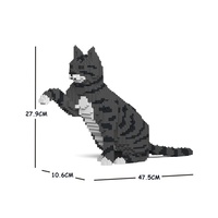 Jekca Cat 04S-M02