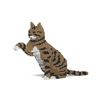 Jekca Cat 04S-M04