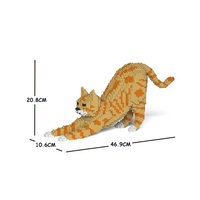 Jekca Cat 05S-M01