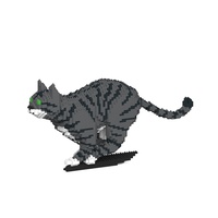 Jekca Cat 18S-M02