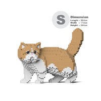 Jekca Exotic Shorthair Cat 01S-M01