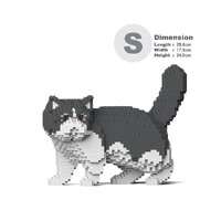 Jekca Exotic Shorthair Cat 01S-M02