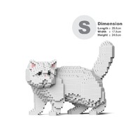 Jekca Exotic Shorthair Cat 01S-M03