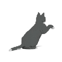 Jekca Grey Tuxedo Cat 03S