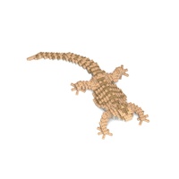Jekca Bearded Dragon 01S