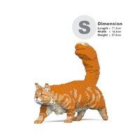 Jekca Maine Coon 02S-M01