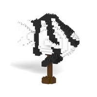 Jekca Banded Humbug 01S