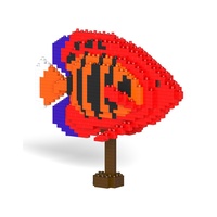 Jekca Flame Angelfish 01S