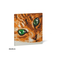 Jekca Cat Eyes Brick Painting 01S-M01