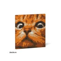 Jekca Cat Eyes Brick Painting 02S-M01