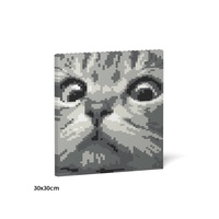 Jekca Cat Eyes Brick Painting 02S-M02