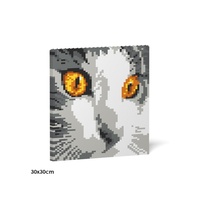 Jekca Cat Eyes Brick Painting 03S