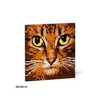 Jekca Cat Eyes Brick Painting 04S-M01