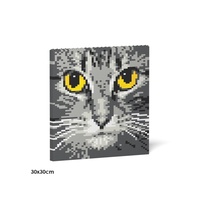 Jekca Cat Eyes Brick Painting 04S-M02
