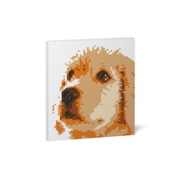 Jekca Golden Retriever Brick Painting 01S