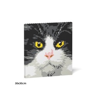 Jekca Tuxedo Cat Brick Painting 01S