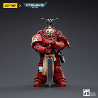 Joy Toy Warhammer 40k 1/18 Blood Angels Veteran Vigna Action Figure