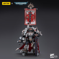 JoyToy Warhammer 40k 1/18 Grey Knights Castellan Crowe