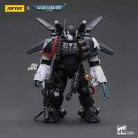 Joy Toy Warhammer 40k 1/18 Raven Guard Chapter Master Kayvaan Shrike