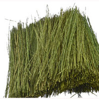 JTT Field Grass Light Green