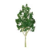 JTT Mountain Gum 1" Pro 6pcs