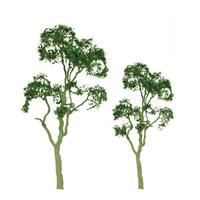 JTT Gum Tree 1" 6pkt
