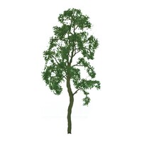 JTT Birch 1" Pro 6pk