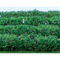 JTT HO Flower Hedges Green JTT-95515