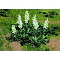 JTT HO Yucca (20pk)